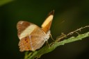 110509_phuket_024.jpg