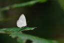 110509_phuket_039.jpg