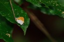 110509_phuket_049.jpg