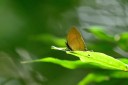 110509_phuket_055.jpg