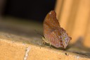 120404_lentang_28.jpg