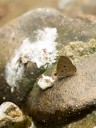 120404_lentang_59.jpg