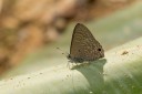 120404_lentang_61.jpg
