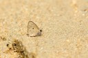 120405_fraser_37.jpg