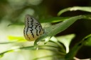 120408_cameron_35.jpg