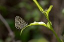 120422_to_17.jpg