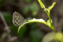 120422_to_18.jpg