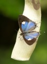 Filename=120429_mos_13.jpg
Filesize=588KiB
Dimensions=1439x1920
Date added=Apr 30, 2012 120429_mos_13.jpg