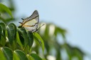 120430_mos_05.jpg