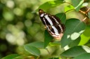 Filename=120430_mos_08.jpg
Filesize=489KiB
Dimensions=2899x1920
Date added=Apr 30, 2012 120430_mos_08.jpg