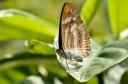 Filename=120430_mos_13.jpg
Filesize=409KiB
Dimensions=2899x1920
Date added=Apr 30, 2012 120430_mos_13.jpg