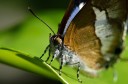 120430_mos_31.jpg