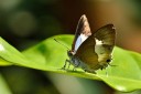 120430_mos_32.jpg