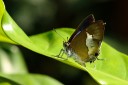 Filename=120430_mos_33.jpg
Filesize=434KiB
Dimensions=2880x1920
Date added=May 01, 2012 120430_mos_33.jpg