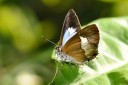 120430_mos_35.jpg