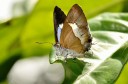 120430_mos_36.jpg