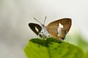 120430_mos_38.jpg