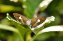 120430_mos_39.jpg