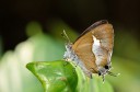 120430_mos_40.jpg