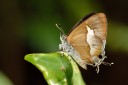 120430_mos_42.jpg