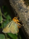 120624_dadungshan_24.jpg