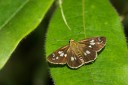 120625_dadungshan_41.jpg