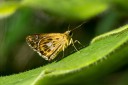 120625_dadungshan_42.jpg