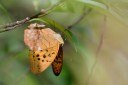 120630_dadungshan_32.jpg