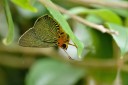 120630_dadungshan_34.jpg