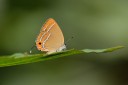 120630_dadungshan_44.jpg