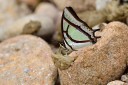 120701_dadungshan_06.jpg