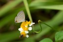 120804_yl_02.jpg
