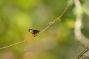 121002_andasibe_016.jpg