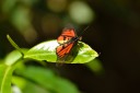 121002_andasibe_021.jpg