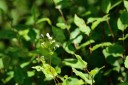 121002_andasibe_078.jpg