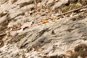 130211_palau_52.jpg