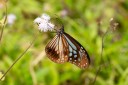 130323_tpk_30.jpg