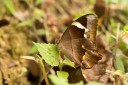 130323_tpk_39.jpg