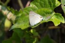 130401_huainamdang_028.jpg