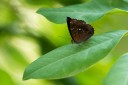 130404_suthep_037.jpg