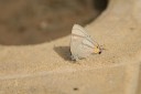 130519_honghegu_10.jpg