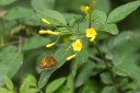 130519_honghegu_43.jpg