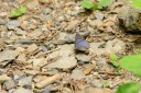 130602_takao_34.jpg