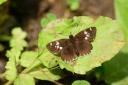 130602_takao_51.jpg