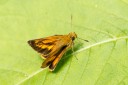 130602_takao_72.jpg