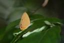 160516_nanling_036.jpg