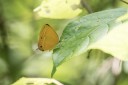 160516_nanling_037.jpg
