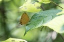 160516_nanling_038.jpg