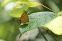160516_nanling_039.jpg