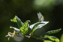 160516_nanling_049.jpg